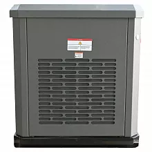 Генератор газовый EVOline GNG 19000 E — фото 7